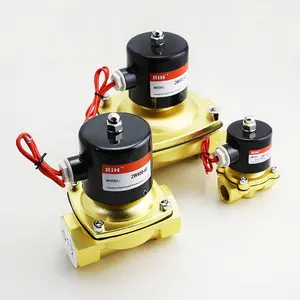 2/2 Way ปกติปิด AC DC 12V 110V 24V 220V ขนาดใหญ่2นิ้ว Solenoid วาล์ว