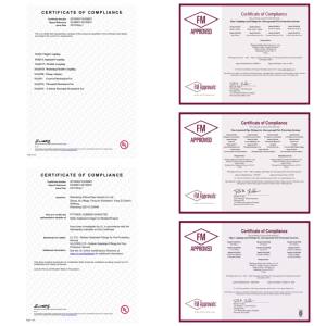 WFHSH 1-12 "Accesorios de tubería contra incendios Camiseta mecánica ranurada de hierro dúctil para camiseta de ajuste ranurado de tubería - Product Image 5