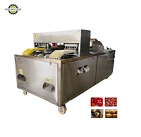 Hoge kwaliteit fruit, eenvoudige bediening, pruimenontpitter, pitverwijderaar voor palm, avocado en bayberry.