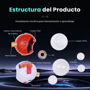 Modelo de Anatomía Ocular Médica TB-01, Recurso Educativo Desmontable, Modelo Anatómico de Ojo Óptico - Product Image 5