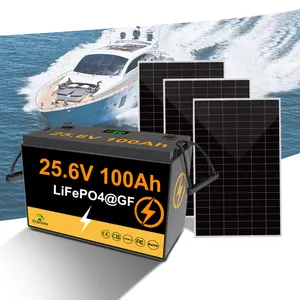 Аккумуляторная солнечная батарея 25,6 В, 200 А * ч, свинцово-кислотный гель, глубокий цикл 12 В 25 В, 100 А/ч, 2 кВт, 5 кВт для домашней солнечной системы