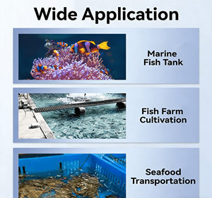 فلتر حوض أسماك بحرية مع جهاز إزالة البروتين لأنواع الأسماك المالحة والمرجان - Product Image 4