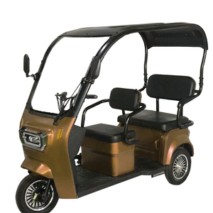 Nuevo Diseño, Triciclo de 3 Ruedas para Adultos, 800W, 60V, con Techo, en Venta - Product Image 1