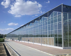 Nhà sản xuất chất lượng cao tùy chỉnh nhà kính với hướng dẫn kỹ sư chuyên gia trong thiết kế, sản xuất và xây dựng - Product Image 4