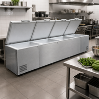 Congélateur coffre horizontal à porte pleine à refroidissement direct pour la logistique de la chaîne du froid - Vente en gros