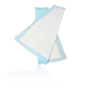 Alèses jetables super absorbantes anti-fuites pour chien, tapis d'apprentissage pour chiot - Product Image 2