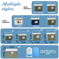 Glacière Boîte Isotherme Portable en Plastique PE, Style Moderne OEM & ODM pour Pique-Nique et Camping, Stockage Alimentaire Extérieur Direct de Chine