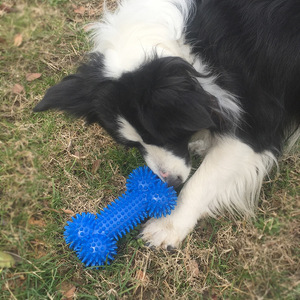 Jouets de nettoyage dentaire pour chiens en TPR, jouets à mâcher interactifs pour chiots, jouets à mâcher pour la dentition, os pour chiens, jouets pour chiens - Product Image 3
