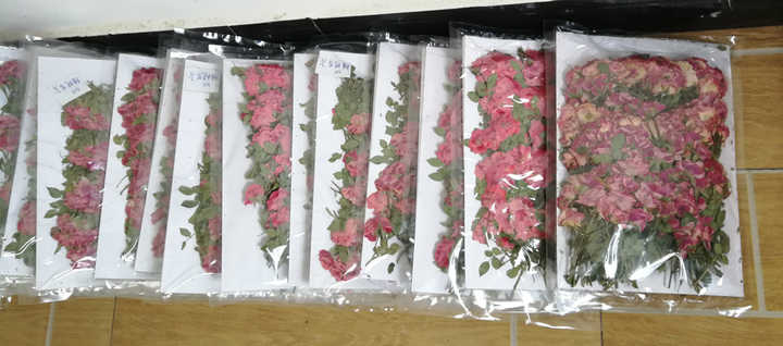 Real Dried Pressed Flower Rose With Branch