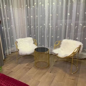 Modern Home Dining Chair with Comfortable Cushion Stainless Steel Frame for Bedroom Hotel Leisure-Home Living Room <b>Lounge</b> Chair - Product Image 6