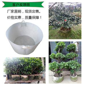 Bolsas de cultivo no tejidas gruesas, bolsas de plantación blancas para árboles y plántulas, cosidas a mano para uso hortícola - Product Image 2