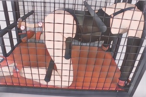 Stock BDSM castigo extremo Prop vinculante restricciones Metal castidad bloqueo encarcelamiento sexo esclavo Gallo jaula castidad jaula juguete sexual - Product Image 3