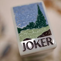 Jeu de Mahjong Américain en Acrylique Gravé Série Tortoise Joy 2026 – Nouveauté et Succès Commercial pour le Divertissement Adulte et les Jeux de Casino – Cadeau Idéal