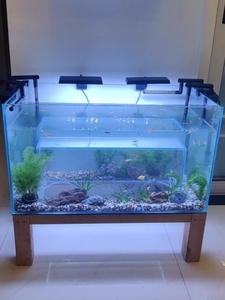 ตู้ปลาแก้ว<span class=keywords><strong>สำหรับ</strong></span>แมว ปี 2025 บ้านแมวและ<span class=keywords><strong>คอน</strong></span><span class=keywords><strong>โด</strong></span>แมว ของเล่นตู้ปลาตกแต่งภายในสร้างสรรค์ สนุกสนาน <span class=keywords><strong>สำหรับ</strong></span>สัตว์เลี้ยงขนาดเล็ก - Product Image 4