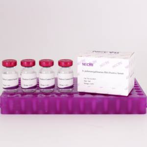 Suero de control de antígeno de aglutinación Salmonella Pullorum/Gallinarum para pruebas avícolas - Product Image 4