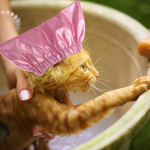 Gorro de ducha para mascotas, para gatos y perros, tamaño pequeño, impermeable, de poliéster, accesorio de baño - Product Image 1