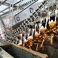 Équipement de plumeuse de volailles et de blanchiment des plumes, Ligne de production d'abattage de volailles avec moteur, Haute productivité 1000 plumes/heure, 380V