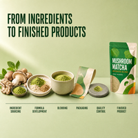 Poudre de superaliments aux champignons Matcha avec Crinière de lion, Chaga, Queue de dinde, Reishi et Cordyceps pour les boissons Latte et Smoothie