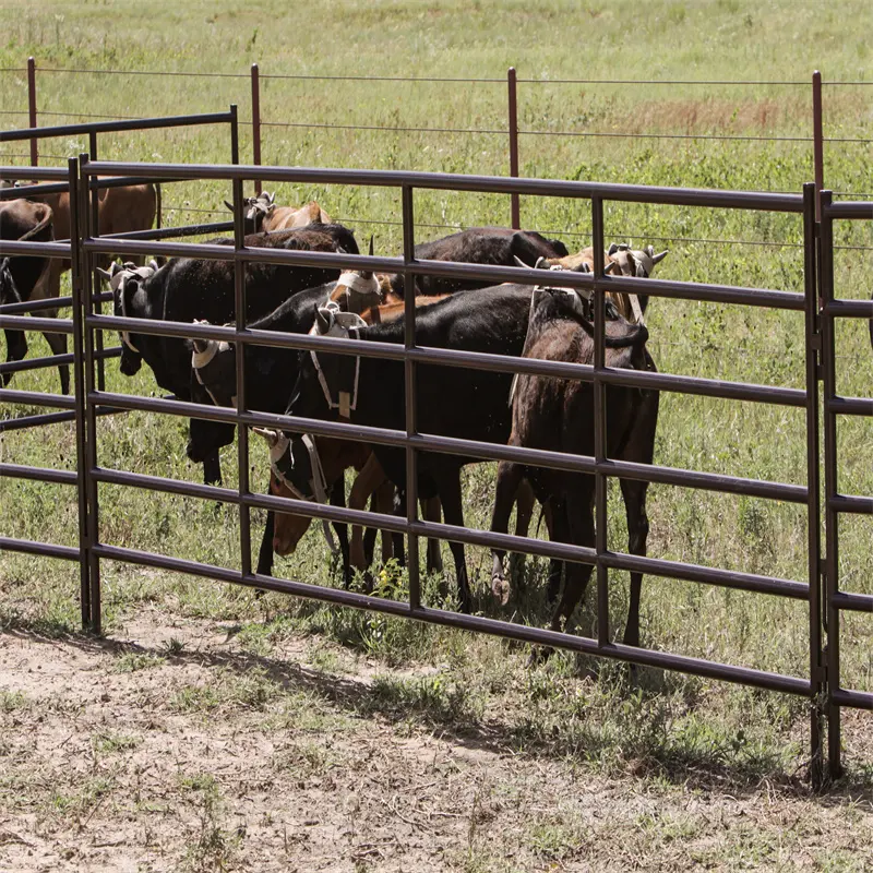 Hot Sale verzinkt gebrauchte Stahlrohr Farm Gate Design für Vieh Feld