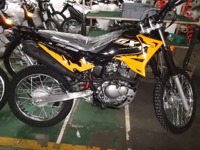 Pièces de carrosserie de moto d'origine, pièces de rechange de carrosserie de moto, accessoires, réservoir de carburant en acier pour Gxt200