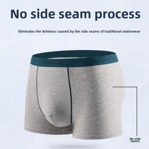 Calzoncillos Boxer de Moda para Hombre al por Mayor ODM, 95% Fibra de Poliéster, 5% Elastano, Transpirables, de Alta Elasticidad, Cintura Media, Multicolor - Product Image 2