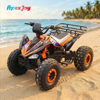 ApexJoy Buggy de plage électrique 500W 48V 20Ah, Kart tout-terrain 4 roues, pour la location sur les coûtes, prix grossiste, profit maximal, OEM ODM personnalisé