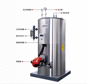 Générateur de vapeur de 300 kg, chaudière à vapeur à <span class=keywords><strong>gaz</strong></span>, générateur de vapeur à prix avantageux, chaudière verticale - Product Image 2