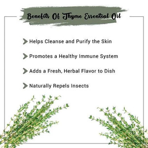 Huile <span class=keywords><strong>de</strong></span> <span class=keywords><strong>Thym</strong></span> Multi-Usages - pour l'Équilibre du Cuir Chevelu, la Réduction des Pellicules, la Fabrication Artisanale <span class=keywords><strong>de</strong></span> Savons et Shampoings - Huile <span class=keywords><strong>de</strong></span> <span class=keywords><strong>Thym</strong></span> 100% Pure et Naturelle - Product Image 4