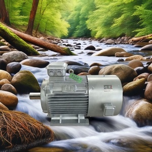 Generador Hidroeléctrico de Baja Velocidad de 10kw, 20kw, 50kw con PMG, Acoplamiento Horizontal, Sistema de Conexión a Red, Generador Hidroeléctrico GDF - Product Image 4