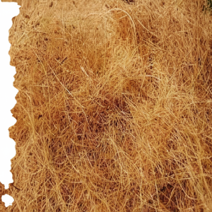Fibra de coco natural de alta calidad para colchones, cepillos, cuerdas, esteras para cultivo, fibra de coco para mantillo, venta al por mayor de La India - Product Image 1