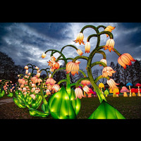 Lanternes de tournesol en papier chinois décoratives extérieures de haute qualité nouveau design suspendu