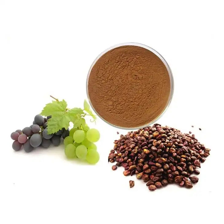 Hoge Kwaliteit Grape Seed Extract Poeder Druivenpitten Extract Proanthocyanidine 95%