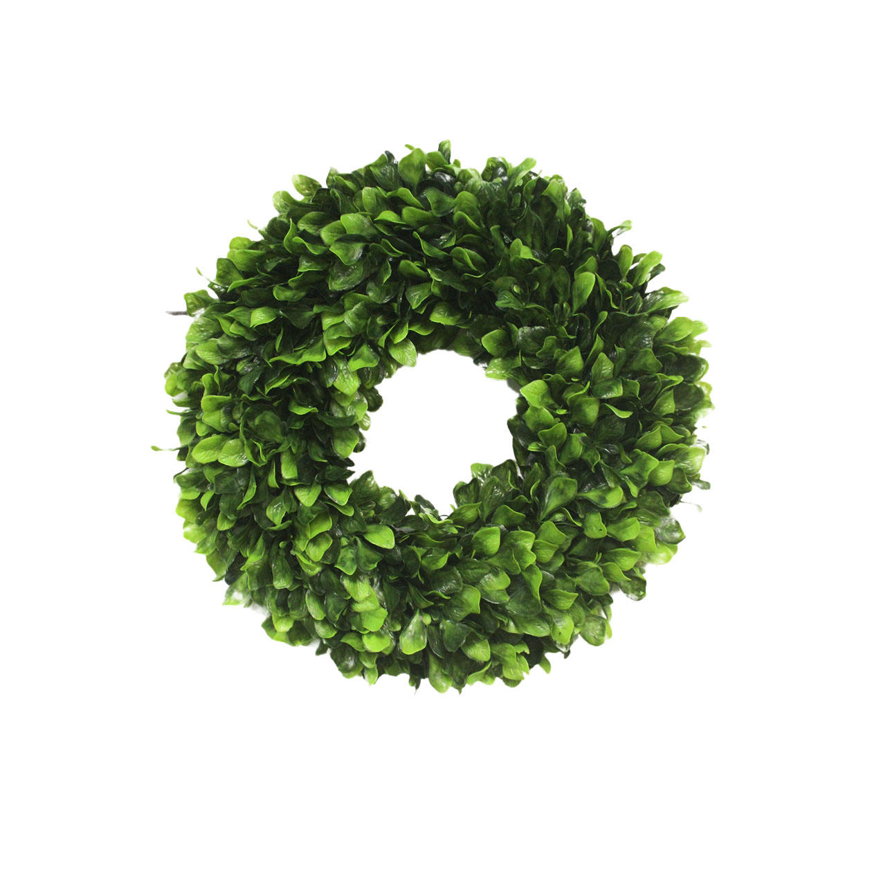 สีเขียว