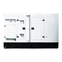 Elektrischer 5/15/25/35/50 kW kVA Generator Geräuscharmes Dieselaggregat Preis