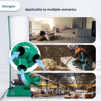 Aspirateur anti-explosion ShengLin, aspirateur industriel portable, collecteur de poussière pour le travail du bois et la menuiserie