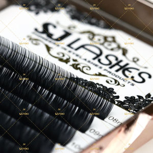 Extensions de cils individuelles de qualité supérieure en fibres de PBT coréennes personnalisées, <span class=keywords><strong>volume</strong></span> classique, 0,05 0,07 mm, courbure C D - Product Image 4