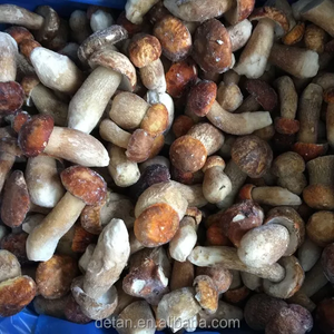 Detan-setas de porcini con seta de temporada, setas de porcinilo salvajes congelados - Product Image 4
