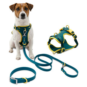 Muker Nouveau design Collier, laisse et harnais assortis pour chien, couleurs variées, pour la promenade quotidienne, accepte la personnalisation des couleurs et du logo - Product Image 1