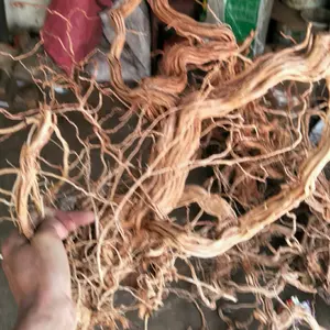 Birçok dalları Rattan ahşap doğal Driftwood akvaryum balık tankı bitki akvaryum için dekoratif