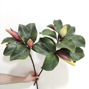Chất Lượng Cao Bất Cảm Ứng Lá Nhân Tạo <span class=keywords><strong>Magnolia</strong></span> Lá Thực Tế Nhân Tạo <span class=keywords><strong>Magnolia</strong></span> Chi Nhánh Để Trang Trí - Product Image 4