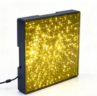 Piste de danse LED portable Starlight - Dalles étoilées monocouleur 10W avec base en ABS et verre trempé pour DJ mobiles et lieux événementiels