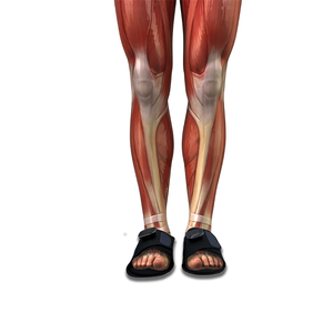 Chaussure vibrante de réflexologie d'acupression portative avec des pantoufles de massage de soins des pieds de masseur - Product Image 3