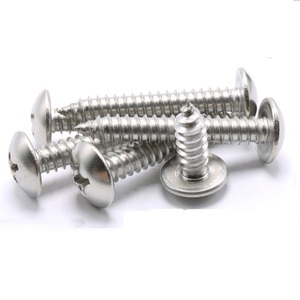 Tornillo <span class=keywords><strong>Autorroscante</strong></span> de Cabeza Redonda Ovalada Phillips de Acero Inoxidable 304 18-8, Tipo A, <span class=keywords><strong>para</strong></span> <span class=keywords><strong>Chapa</strong></span> Metálica y Madera - Product Image 4