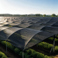 Rouleau de filet d'ombrage en PEHD avec protection UV, services de moulage et de découpe, couleur personnalisable pour l'agriculture, serres et protection solaire