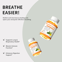 Approvisionnement direct usine OEM – Gommes 4-en-1 à l'extrait de feuille de molène, quercétine, vitamines C et D3 pour adultes – Éclaircissement de la peau et antioxydant