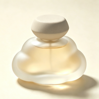 Flacon de parfum de luxe en verre en forme de nuage avec couvercle en pierre volcanique – Récipient vide personnalisé pour fragrance