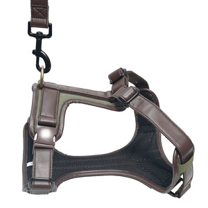 Arnés y Correa de Lujo para Perros Grandes, Color Personalizado Pantone, Hebilla Metálica Premium, Ajustable y Acolchado, Chaleco para Perro para Exteriores - Product Image 6