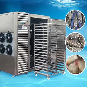 Высокое качество 380V50HZ 8KW Коммерческая большая морозильная камера для морепродуктов