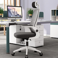 Chaise de bureau ergonomique H5527 en maille, réglable en hauteur, avec dossier ouvert et base pivotante, idéale pour la maison, le bureau et les étudiants