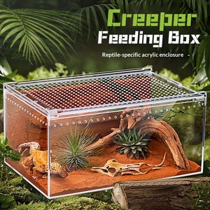 Terrario de Acrílico Transparente de Alta Definición para Mascotas, Rectangular, de Ensamblaje Libre, con Comedero Integrado para Reptiles y Cangrejos Ermitaños - Product Image 2